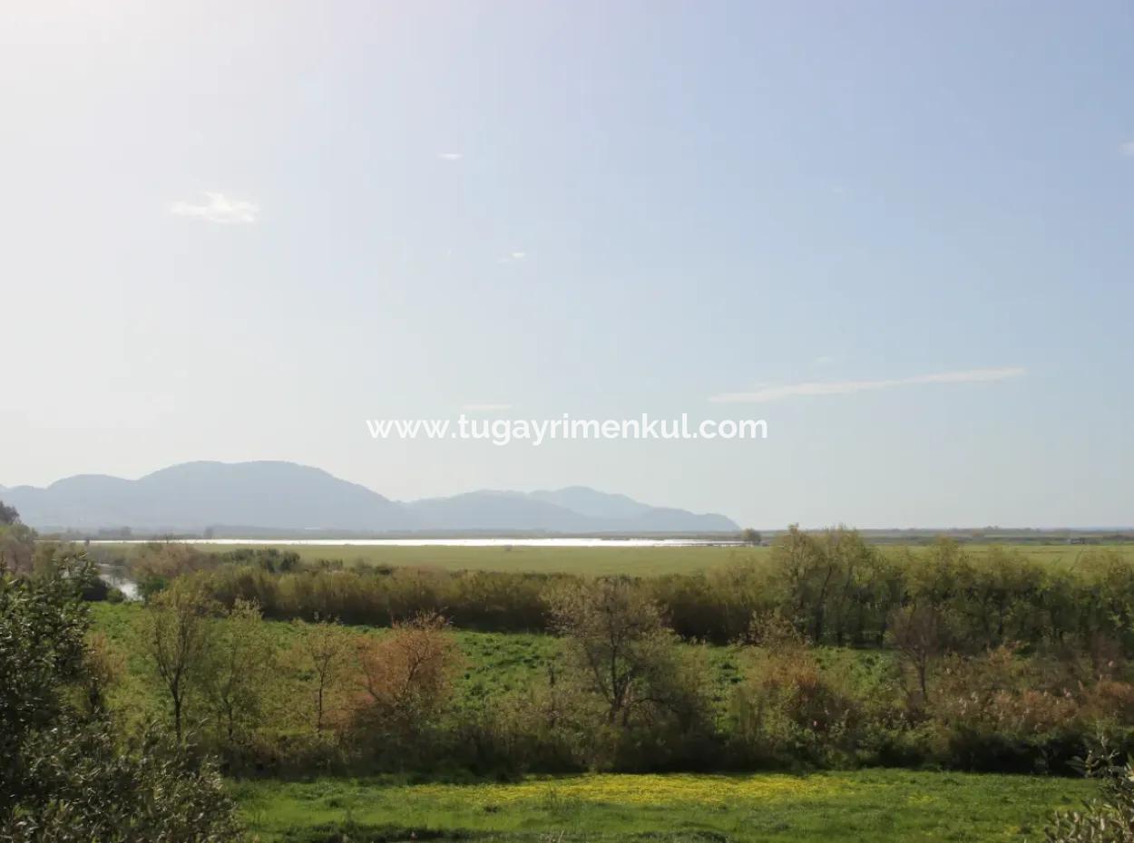 33 Hektar Land In 3 Parzellen Am Rande Des Dalamn-Baches In Muğla Ortaca Fevziye