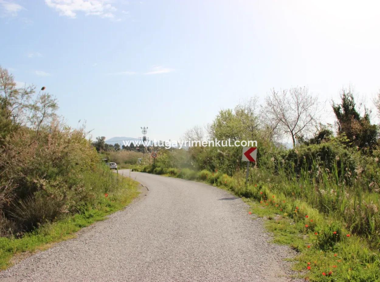 33 Hektar Land In 3 Parzellen Am Rande Des Dalamn-Baches In Muğla Ortaca Fevziye