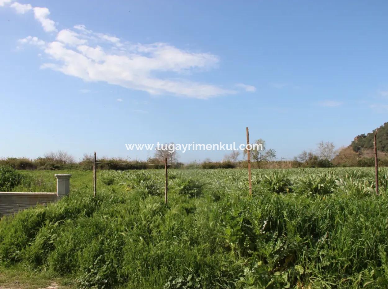33 Hektar Land In 3 Parzellen Am Rande Des Dalamn-Baches In Muğla Ortaca Fevziye
