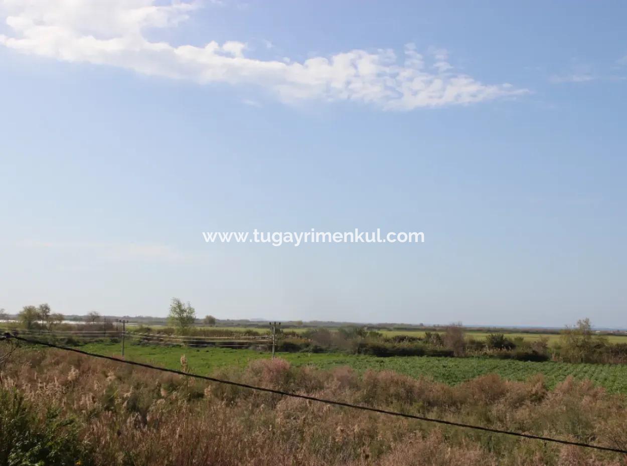 33 Hektar Land In 3 Parzellen Am Rande Des Dalamn-Baches In Muğla Ortaca Fevziye