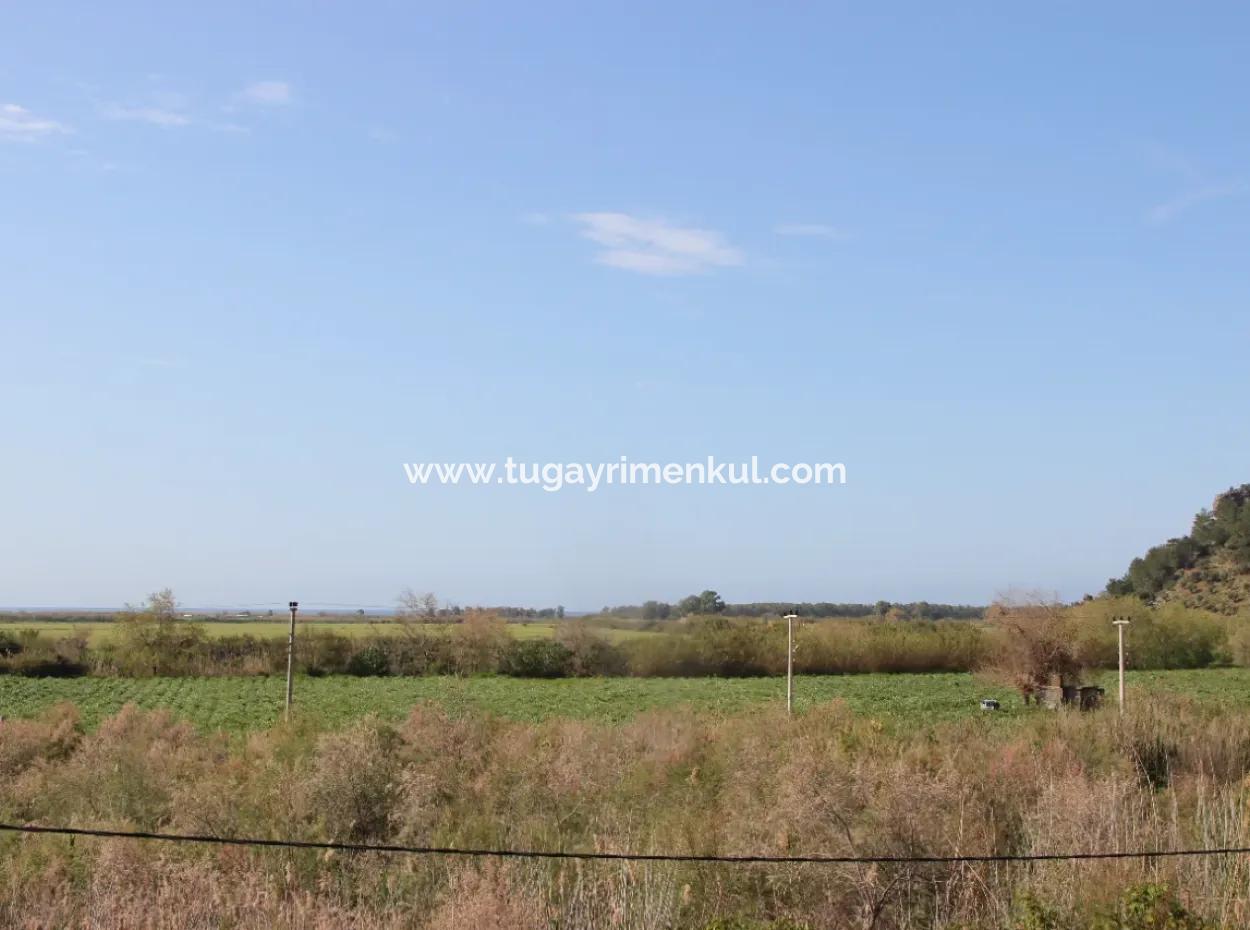 33 Hektar Land In 3 Parzellen Am Rande Des Dalamn-Baches In Muğla Ortaca Fevziye