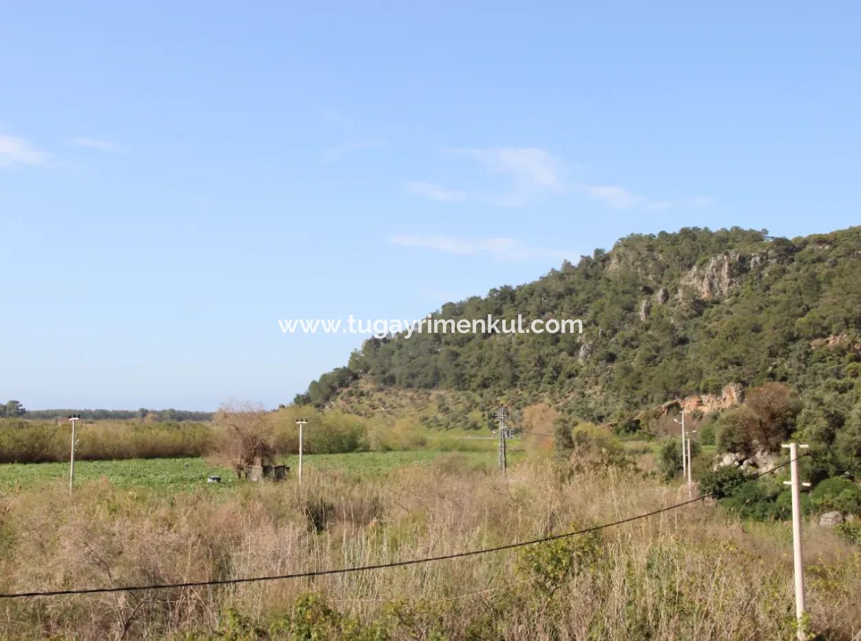 33 Hektar Land In 3 Parzellen Am Rande Des Dalamn-Baches In Muğla Ortaca Fevziye