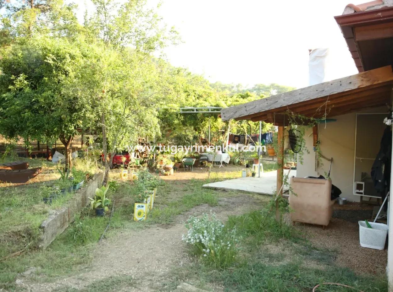 2 Neu Restaurierte Gebäude Auf Einem 1580 M2 Grossen Grundstück In Muğla / Ortaca / Tepearasi Dorf. Dorfhaus