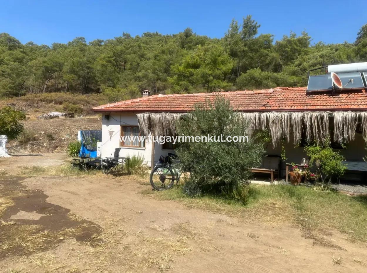 2 Neu Restaurierte Gebäude Auf Einem 1580 M2 Grossen Grundstück In Muğla / Ortaca / Tepearasi Dorf. Dorfhaus