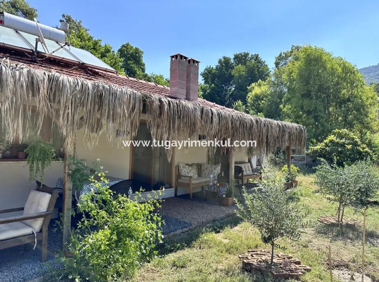 2 Neu Restaurierte Gebäude Auf Einem 1580 M2 Grossen Grundstück In Muğla / Ortaca / Tepearasi Dorf. Dorfhaus