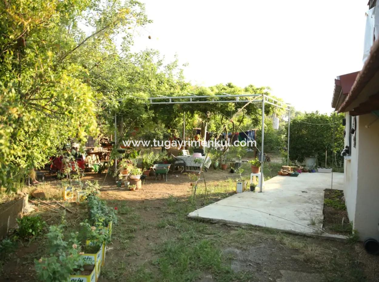 2 Newly Restored Buildings On A 1580 M2 Plot In Muğla / Ortaca / Tepearasi Village. Village House