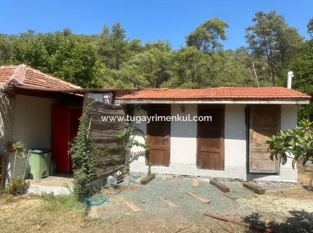 2 Newly Restored Buildings On A 1580 M2 Plot In Muğla / Ortaca / Tepearasi Village. Village House