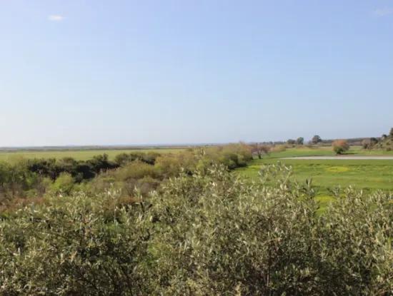 33 Acres Of Land In 3 Parcels Bordering Dalamn Stream In Muğla Ortaca Fevziye