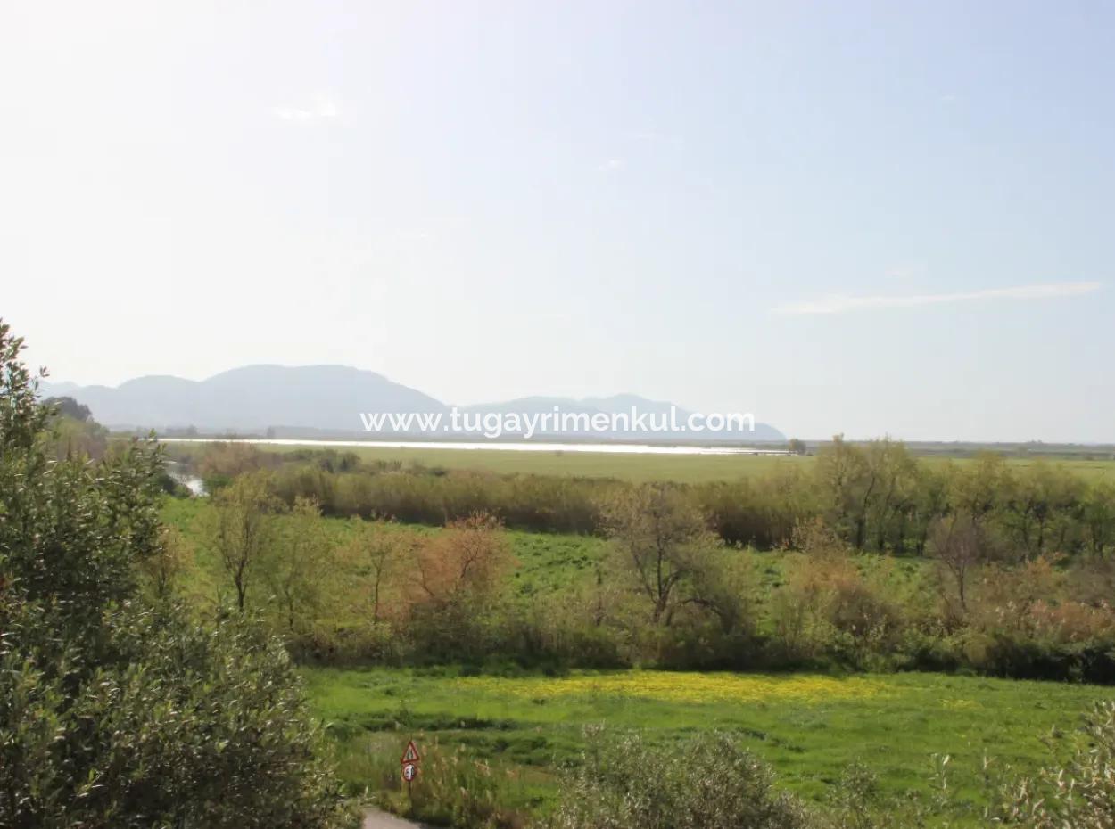 Muğla Ortaca  Fevziye'de  Dalamn Çayına  Sınır 3 Parselde  33  Dönüm Arazi