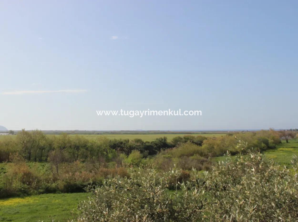 Muğla Ortaca  Fevziye'de  Dalamn Çayına  Sınır 3 Parselde  33  Dönüm Arazi