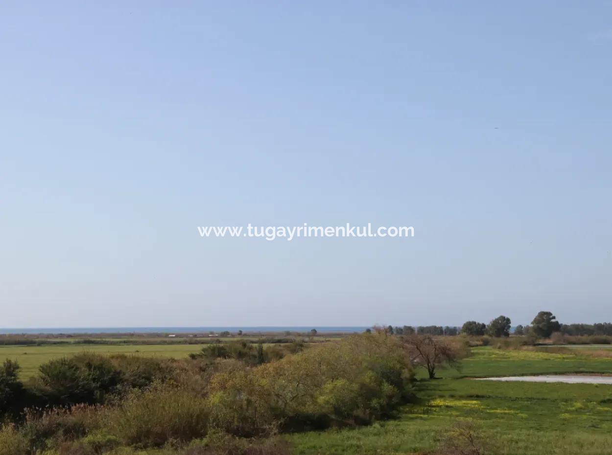 Muğla Ortaca  Fevziye'de  Dalamn Çayına  Sınır 3 Parselde  33  Dönüm Arazi