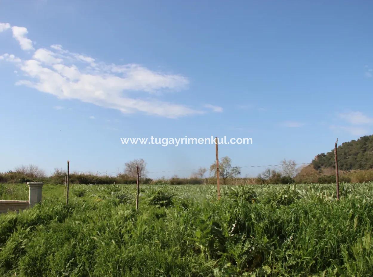 Muğla Ortaca  Fevziye'de  Dalamn Çayına  Sınır 3 Parselde  33  Dönüm Arazi