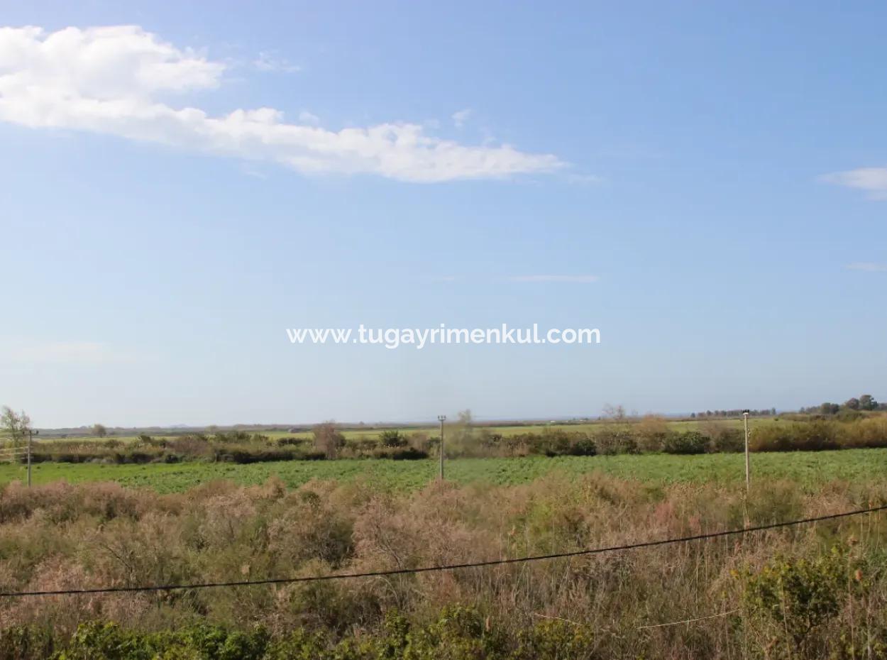 Muğla Ortaca  Fevziye'de  Dalamn Çayına  Sınır 3 Parselde  33  Dönüm Arazi