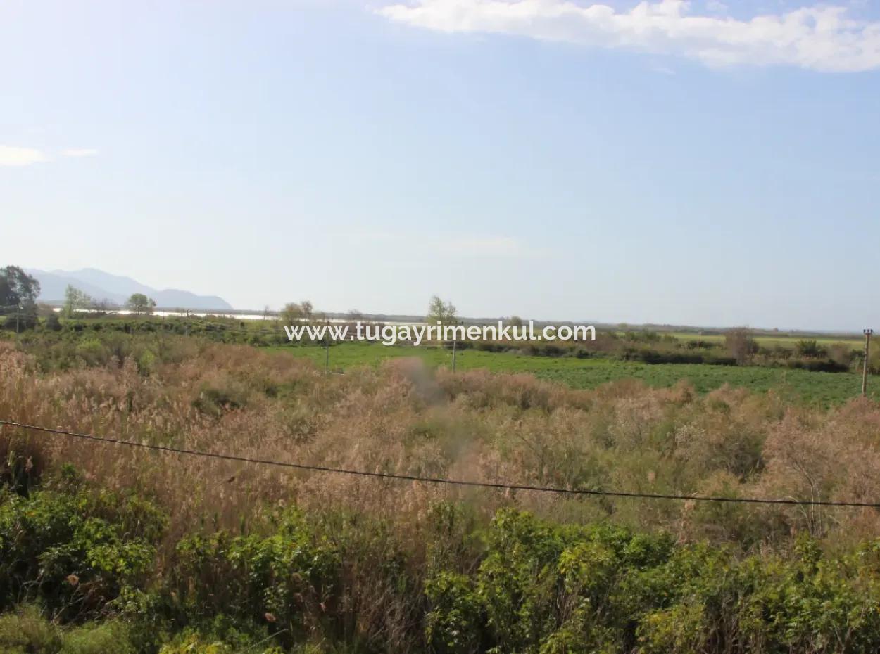 Muğla Ortaca  Fevziye'de  Dalamn Çayına  Sınır 3 Parselde  33  Dönüm Arazi