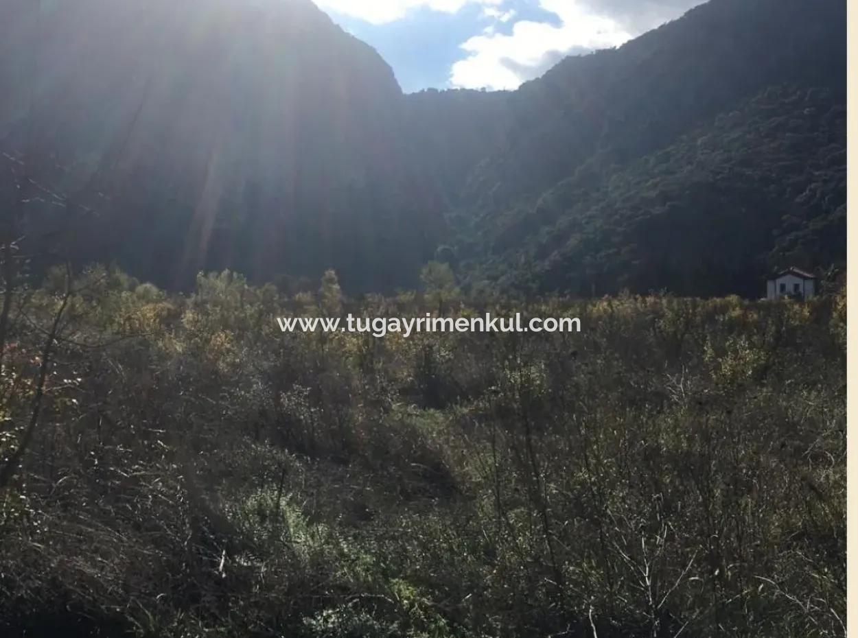 Muğla /  Ortaca / Okçular ( Marmarlı) Da,  20 Dönüm,  Yol Cepheli,  Sol Yanı Ve Ön Cephesi İmarlı  Arsalar Olan Arazi