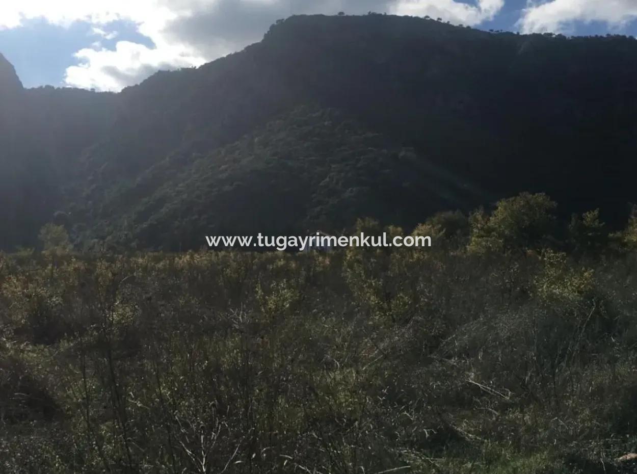 Muğla /  Ortaca / Okçular ( Marmarlı) Da,  20 Dönüm,  Yol Cepheli,  Sol Yanı Ve Ön Cephesi İmarlı  Arsalar Olan Arazi