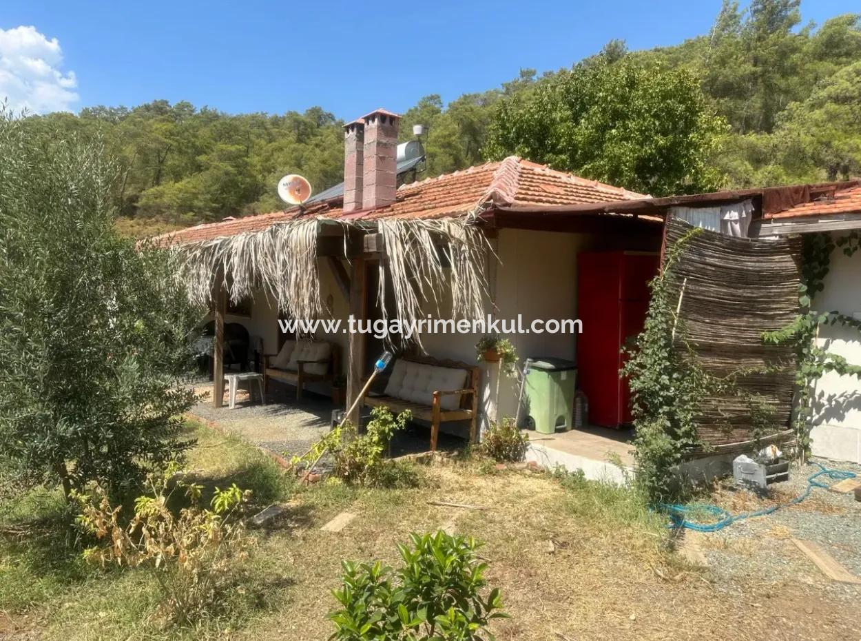 Muğla/ Ortaca /Tepearası Köyünde, 1580 M2 Arsa Üzerinde Yeni Restore Edilmiş 2 Ad. Köy Evi